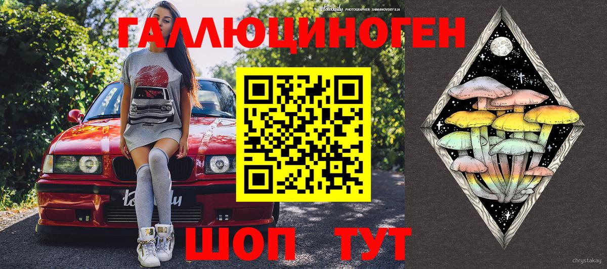 Галлюциногенные грибы Psilocybe Нягань