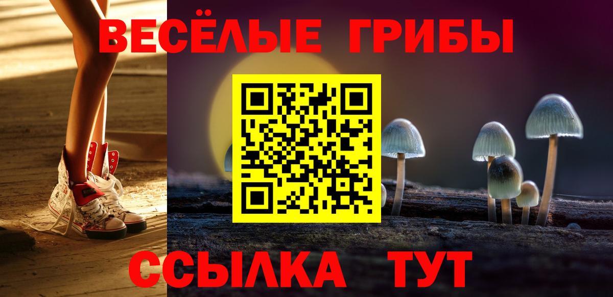 Галлюциногенные грибы Cubensis  Вход с VPN  Нягань  Галлюциногенные грибы мицелий 